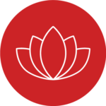 Asset 14