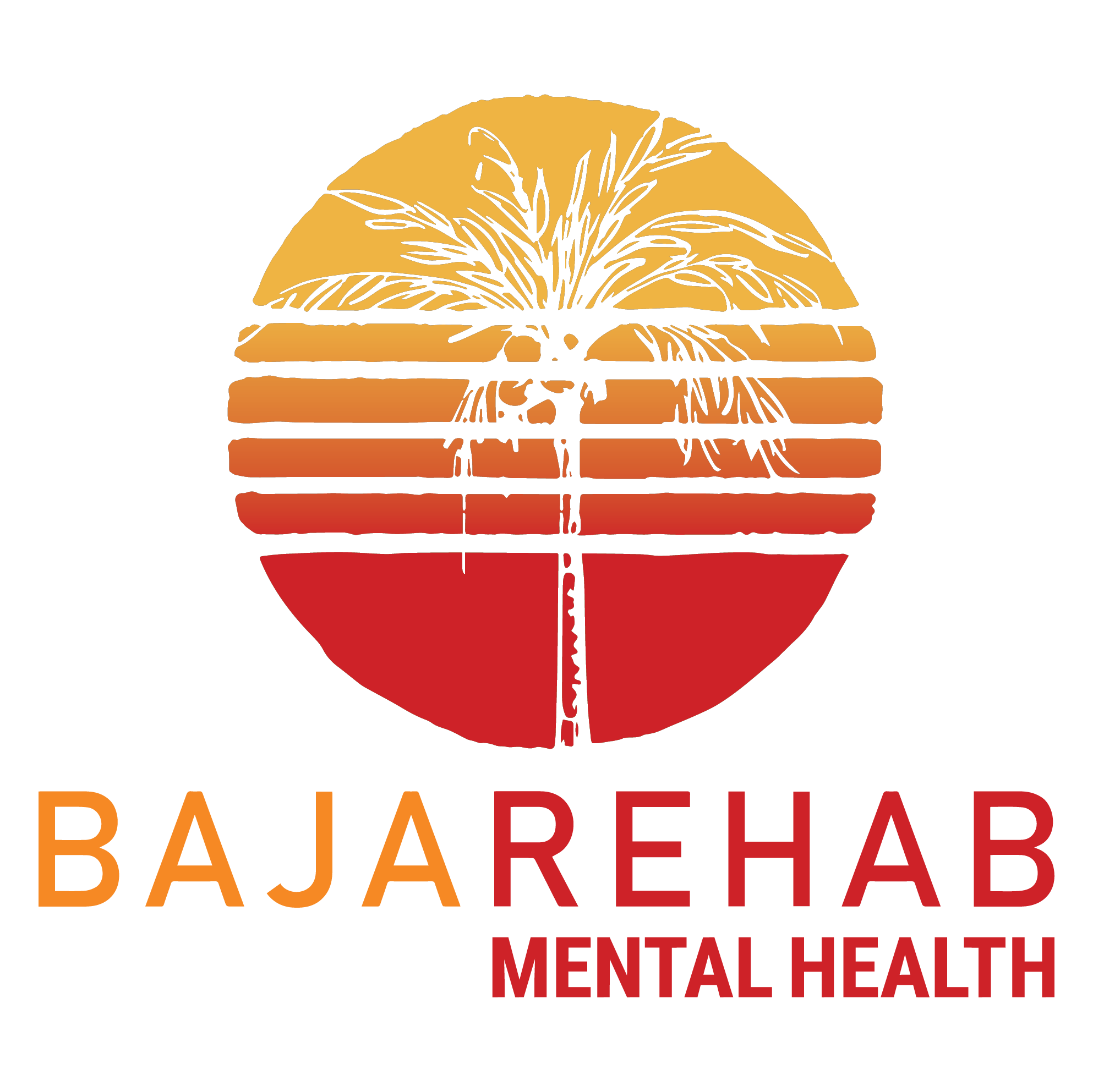 Baja Rehab