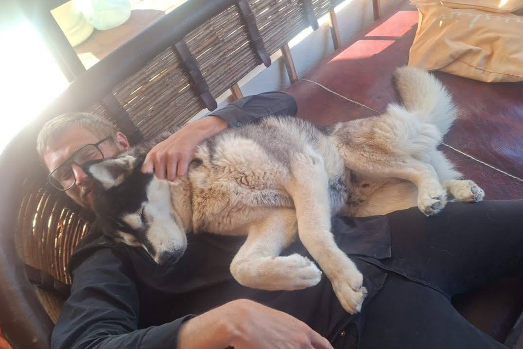 Pet therapy for long lasting addiction recovery