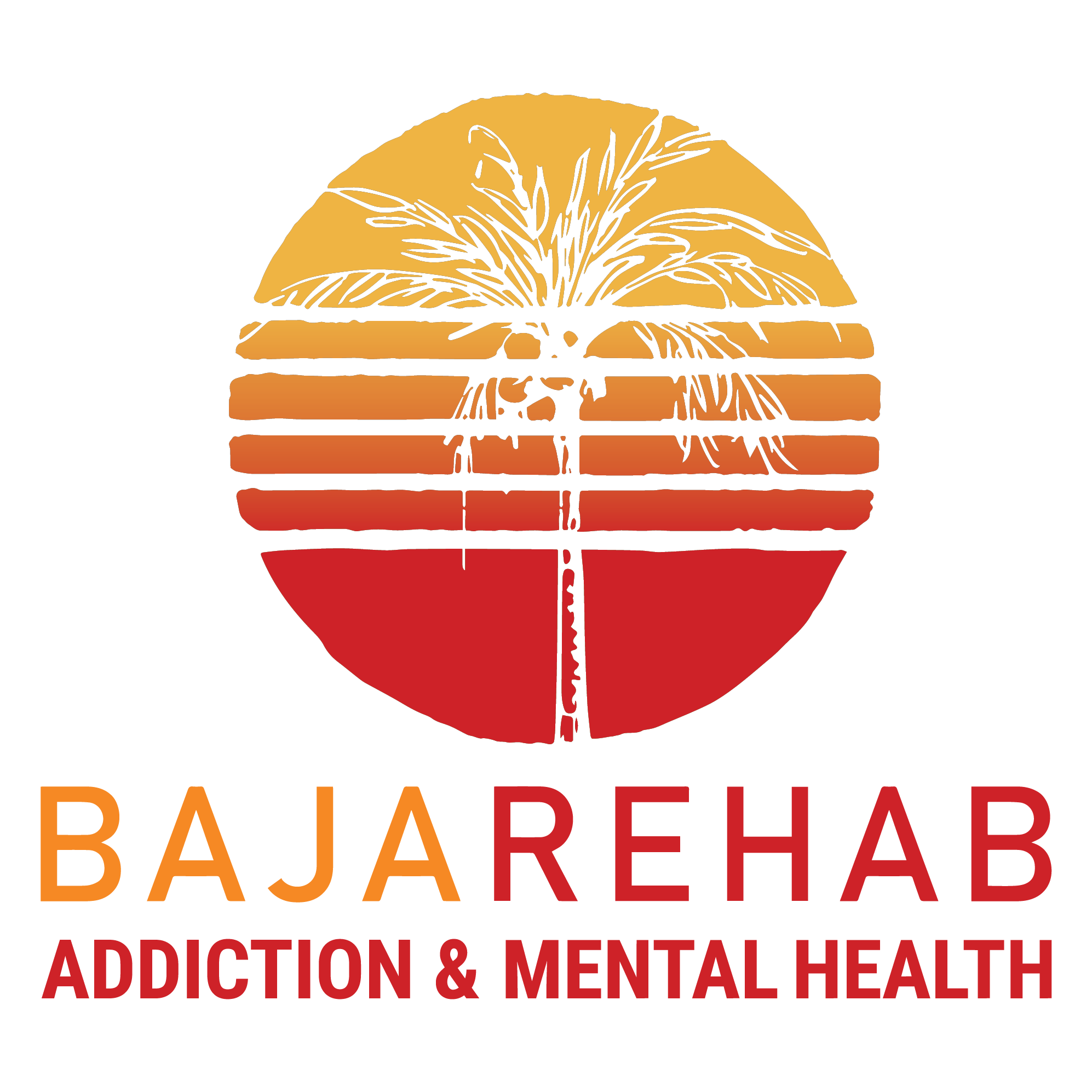 Baja Rehab