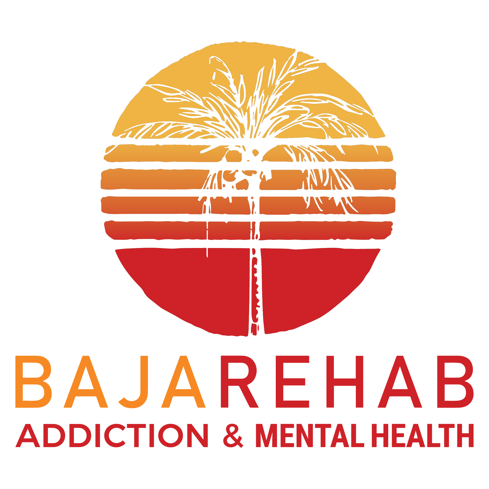 Baja Rehab
